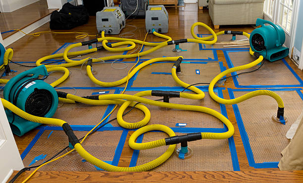 Professional Basement Flood Cleanup technician working in Farmville, NC